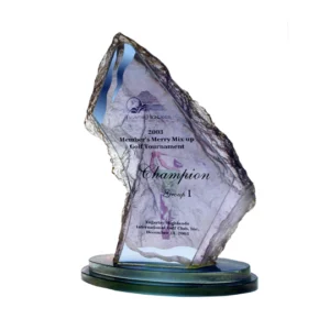 Stardust Plaque