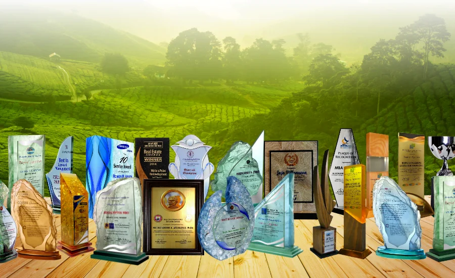 Unveiling Success: The Corsini Trophies & Plaques Way