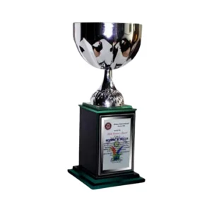 Silver Cup Trophy (V-22)